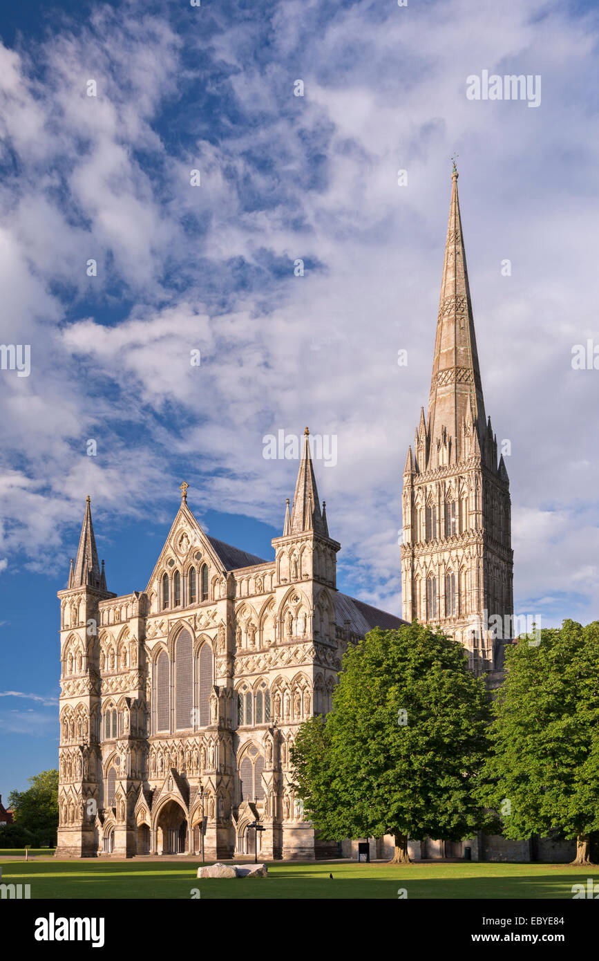 Kathedrale von Salisbury an einem Sommerabend, Salisbury, Wiltshire, England. (Juli) im Sommer 2014. Stockfoto
