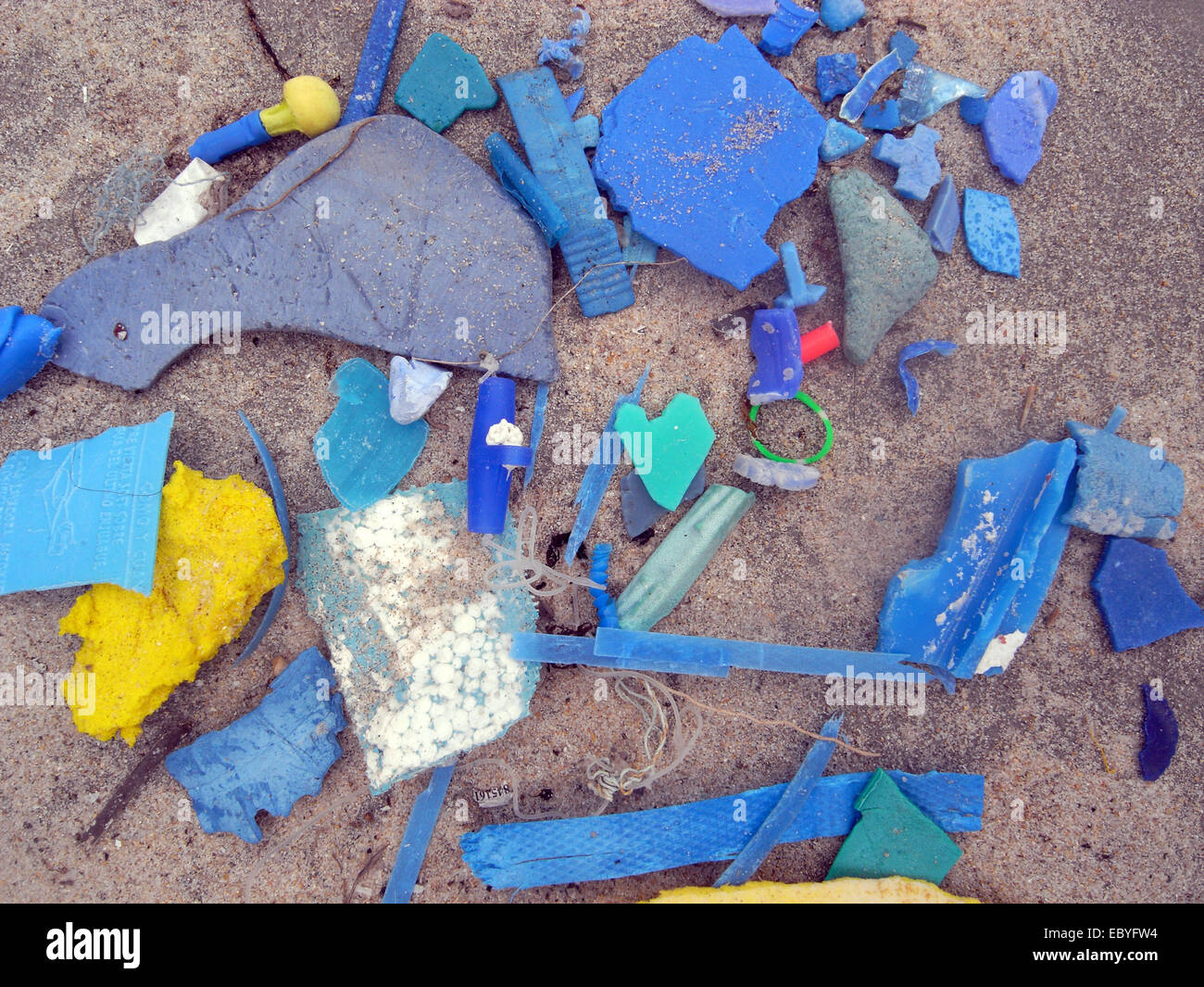 Microplastic Fragmente gesammelt von Freiwilligen während eine Strand-Bereinigung, North Cottesloe Beach, Perth, Western Australia Stockfoto