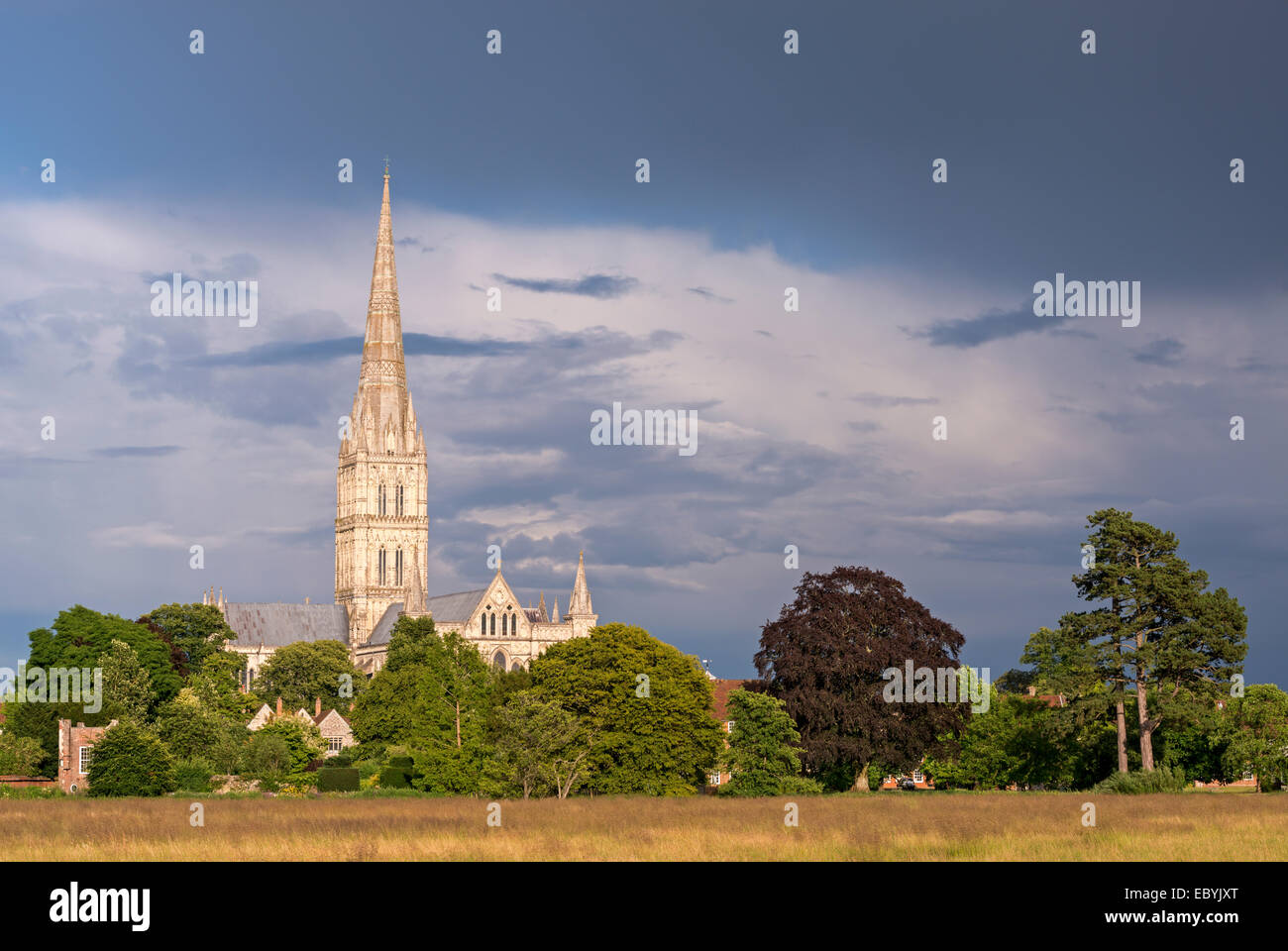 Kathedrale von Salisbury an einem Sommerabend, Salisbury, Wiltshire, England. (Juli) im Sommer 2014. Stockfoto