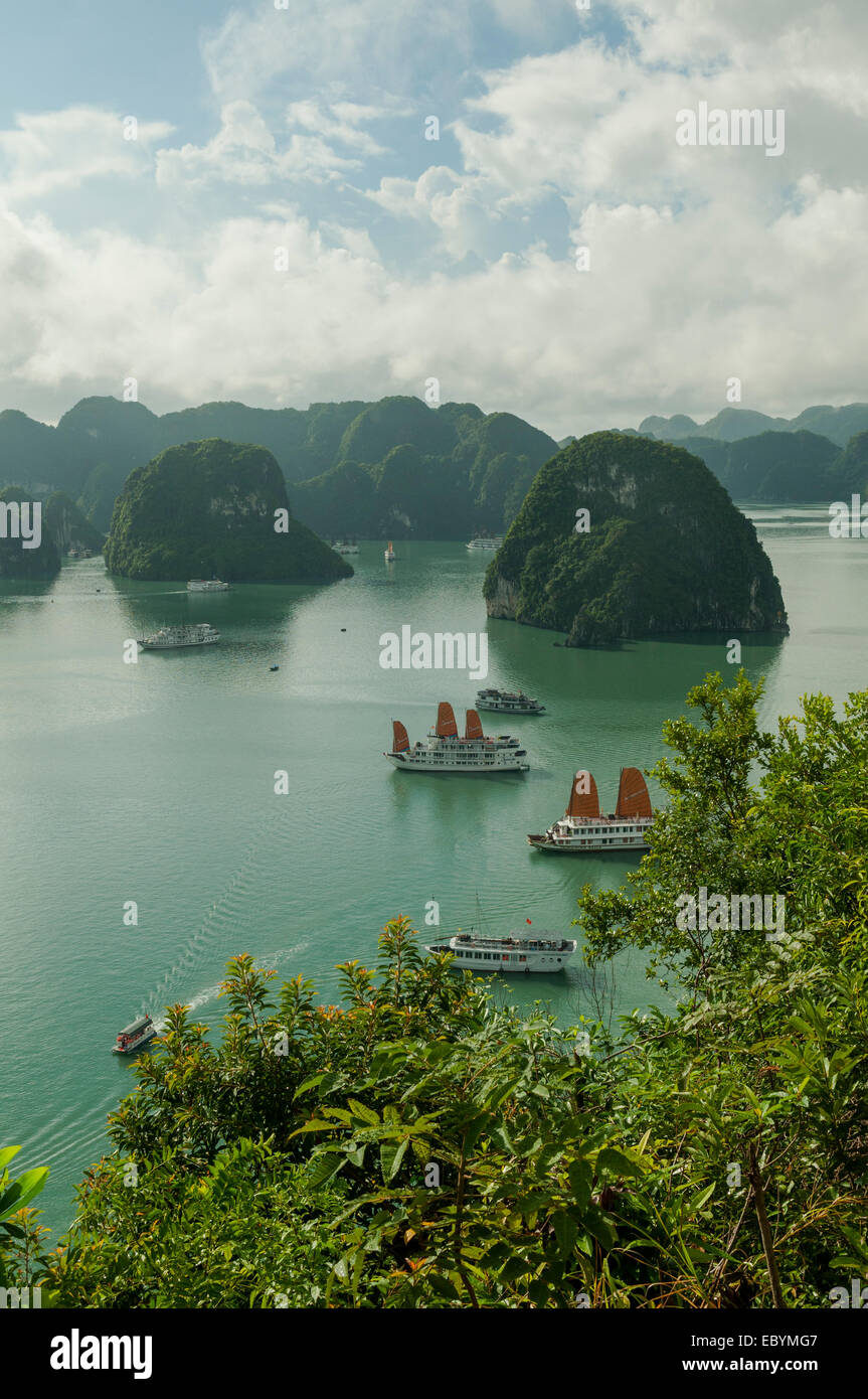 Halong-Bucht von Ti Top Insel, Vietnam Stockfoto