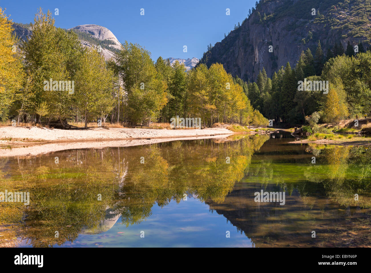 Herbstfärbung an den Ufern des Flusses Merced, Yosemite Valley, Kalifornien, USA. Herbst (Oktober) 2014. Stockfoto