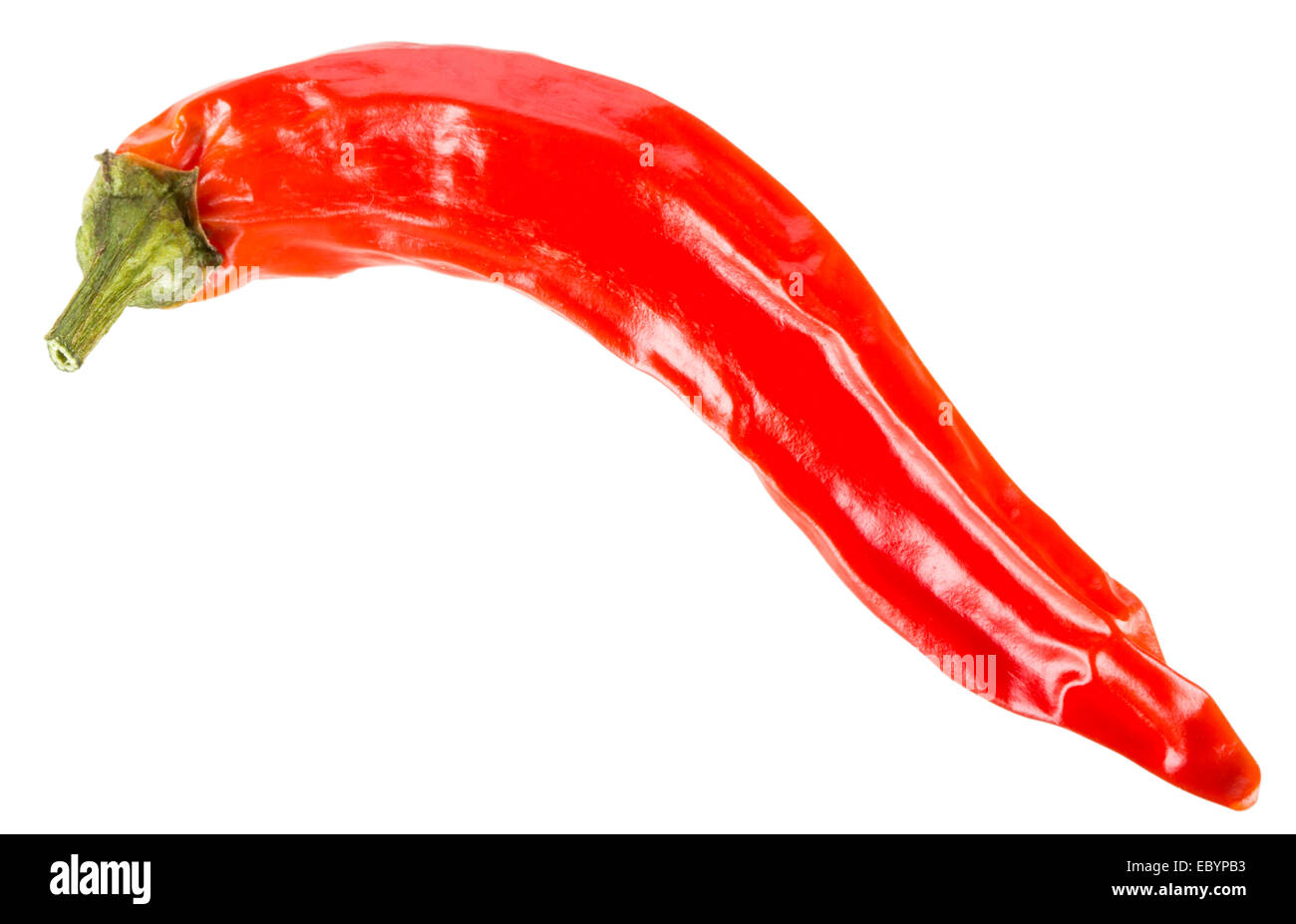 Getrocknete rote Chilischote, isoliert auf weiss mit Beschneidungspfad Stockfoto