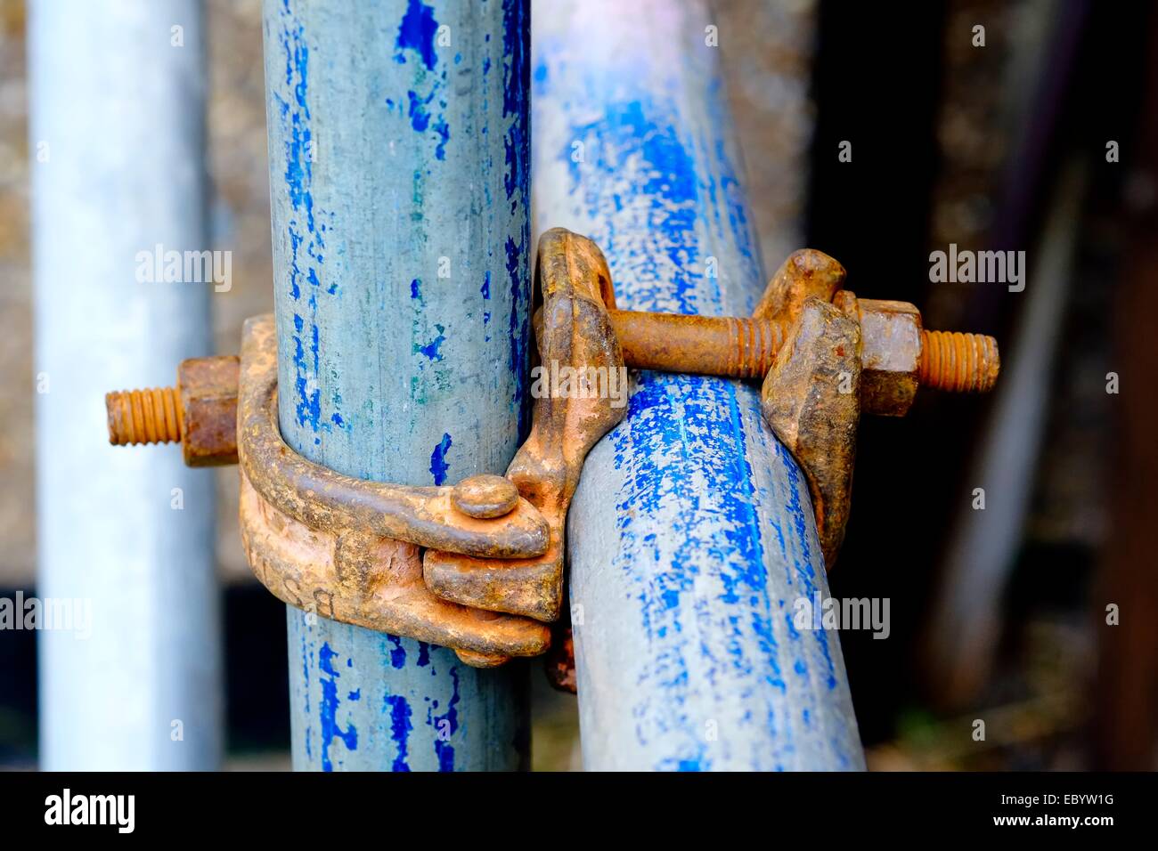 Nahaufnahme von Gerüsten Gelenke in einem Garten England UK Stockfoto