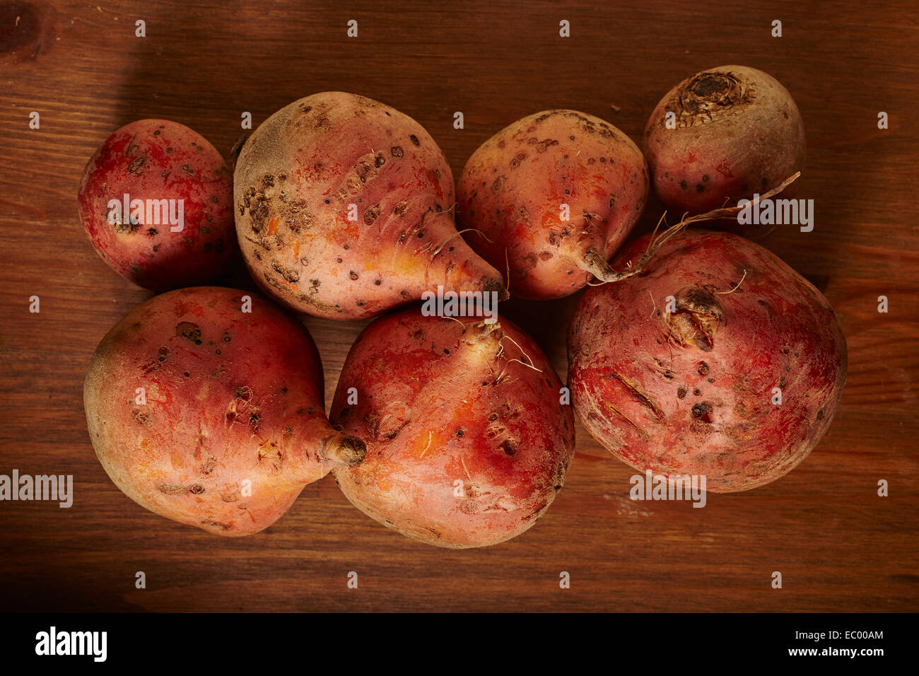 Frische rohe rote Beete Rüben Stockfoto