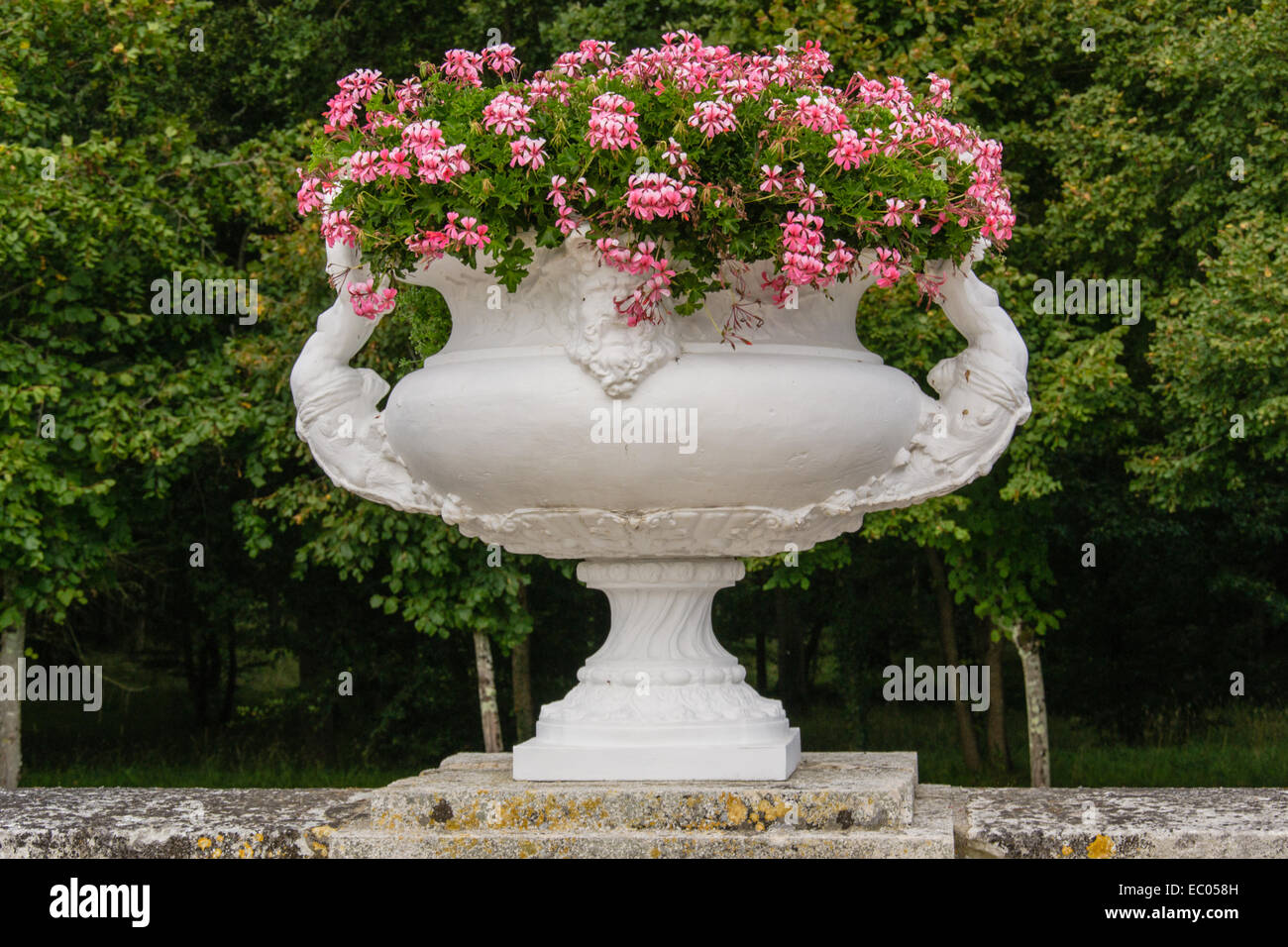 Vase mit Blumen auf Marmor-balustrade Stockfoto