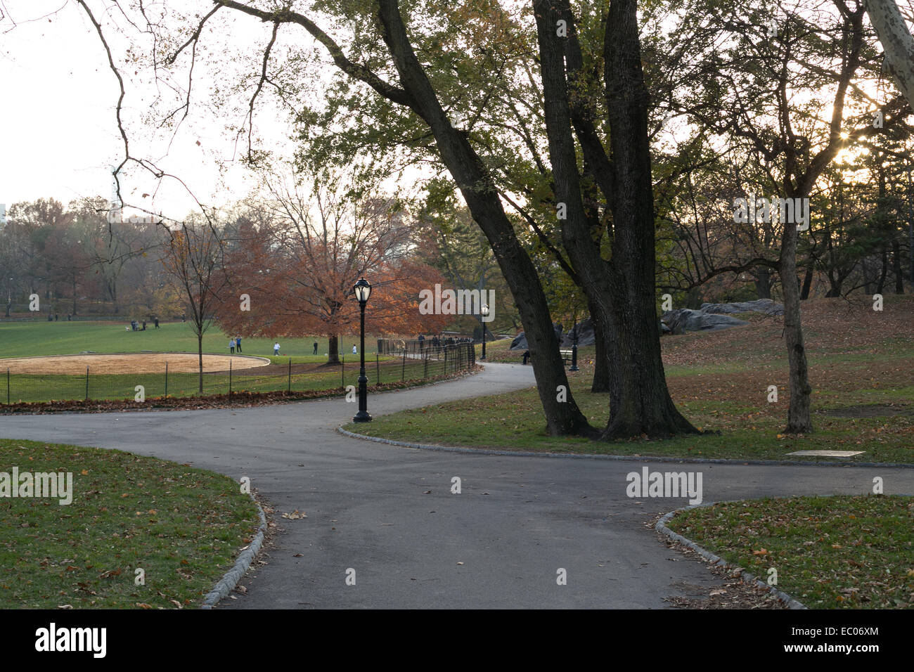 Ein Weg in der Nähe der Great Lawn im Central Park in New York City. Stockfoto