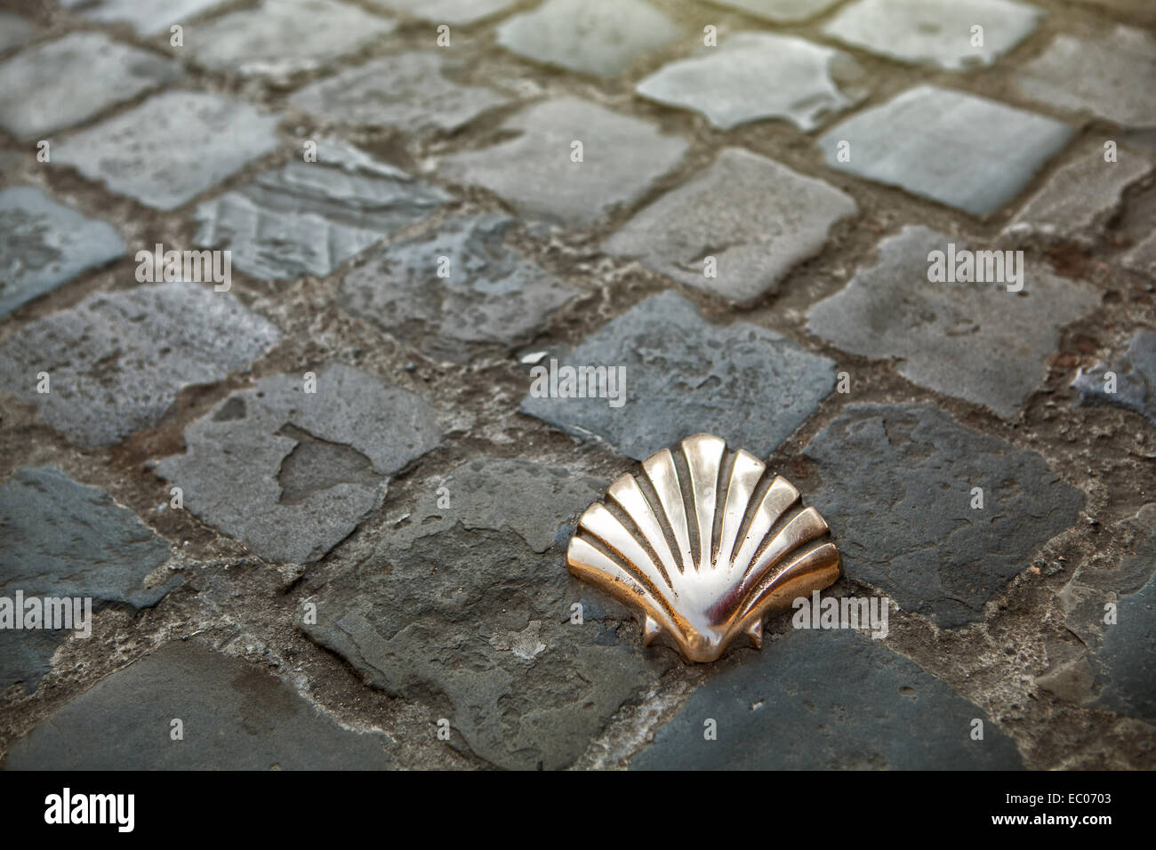 Santiago-shell - Shell St James in Brüssel, Belgien Stockfoto