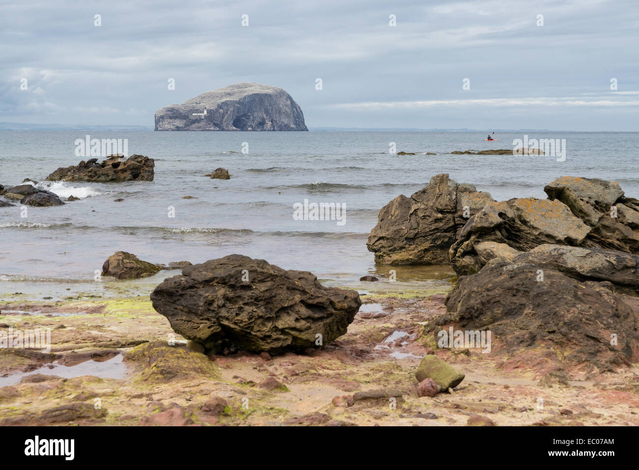 Die Bass Felseninsel im Firth of Forth betrachtet von den felsigen Strand. In der Nähe von North Berwick, East Lothian, Schottland. Stockfoto