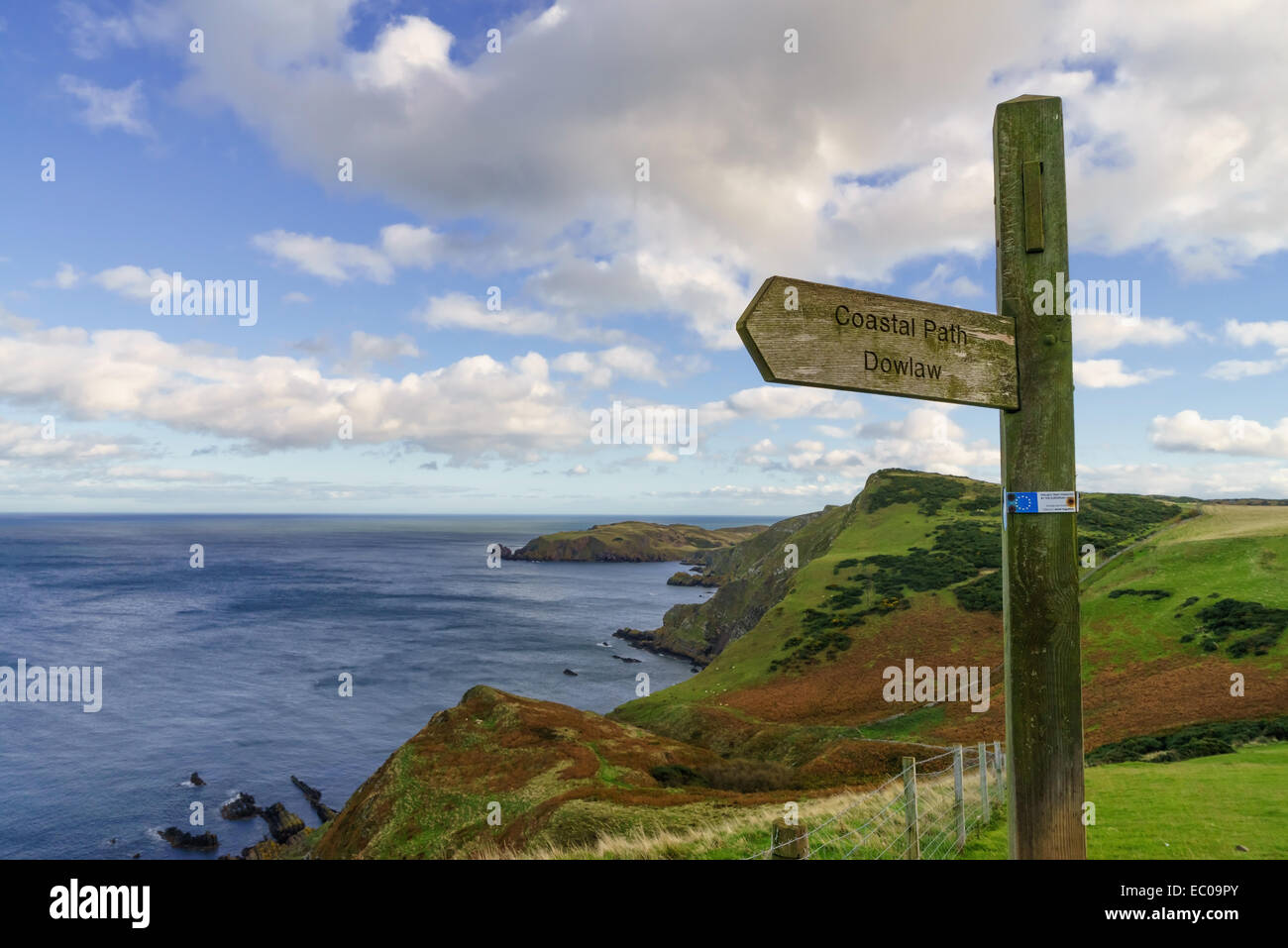 Ein Wegweiser aus Holz auf dem küstennahen Fußweg entlang der Klippen der Scottish Borders, in der Nähe von St. Abbs Head, Schottland. Stockfoto