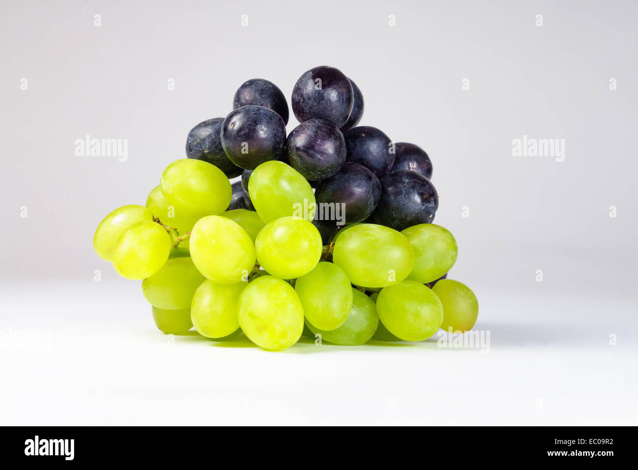 Schwarze und grüne Trauben vor einem weißen Hintergrund. Stockfoto
