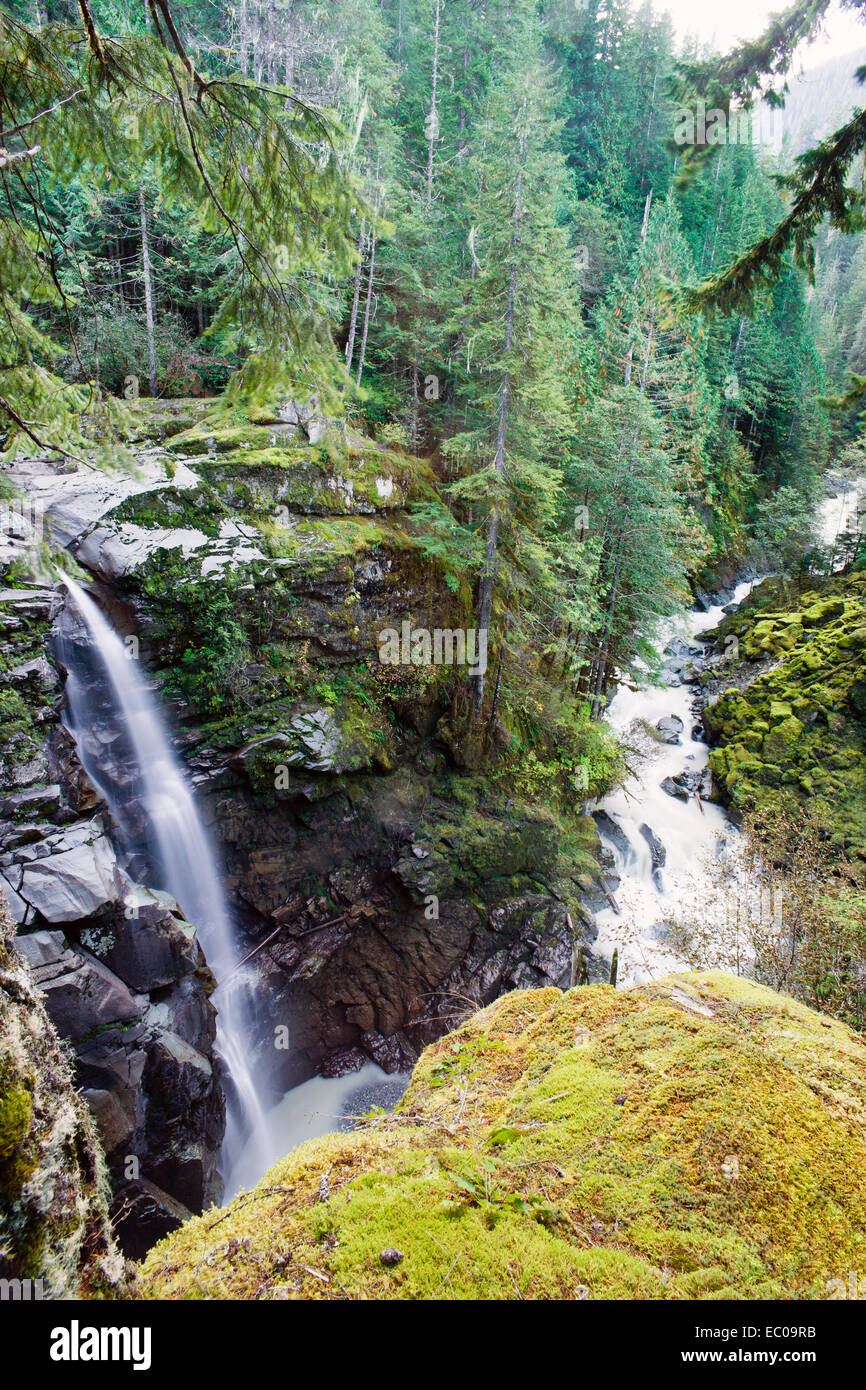 Nooksack Falls ist ein Wasserfall entlang der North Fork des Flusses Nooksack im Whatcom County, Washington. Stockfoto