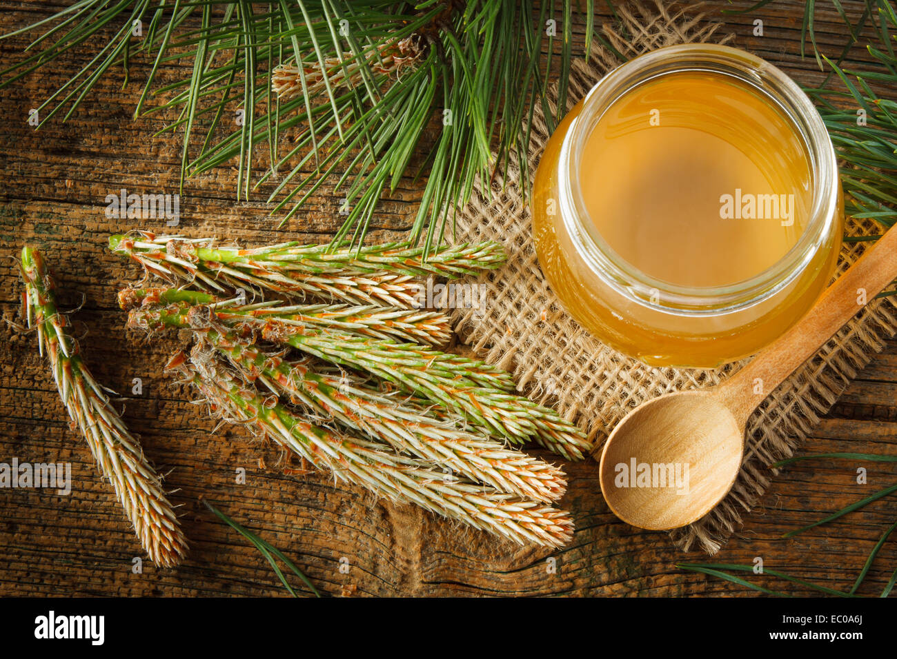 Hausgemachten Sirup aus grünen jungen Kiefern Knospen und Zucker Stockfoto