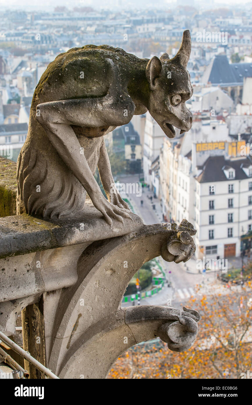 steinerne Wasserspeier Kathedrale Notre-Dame Paris Frankreich Stockfoto