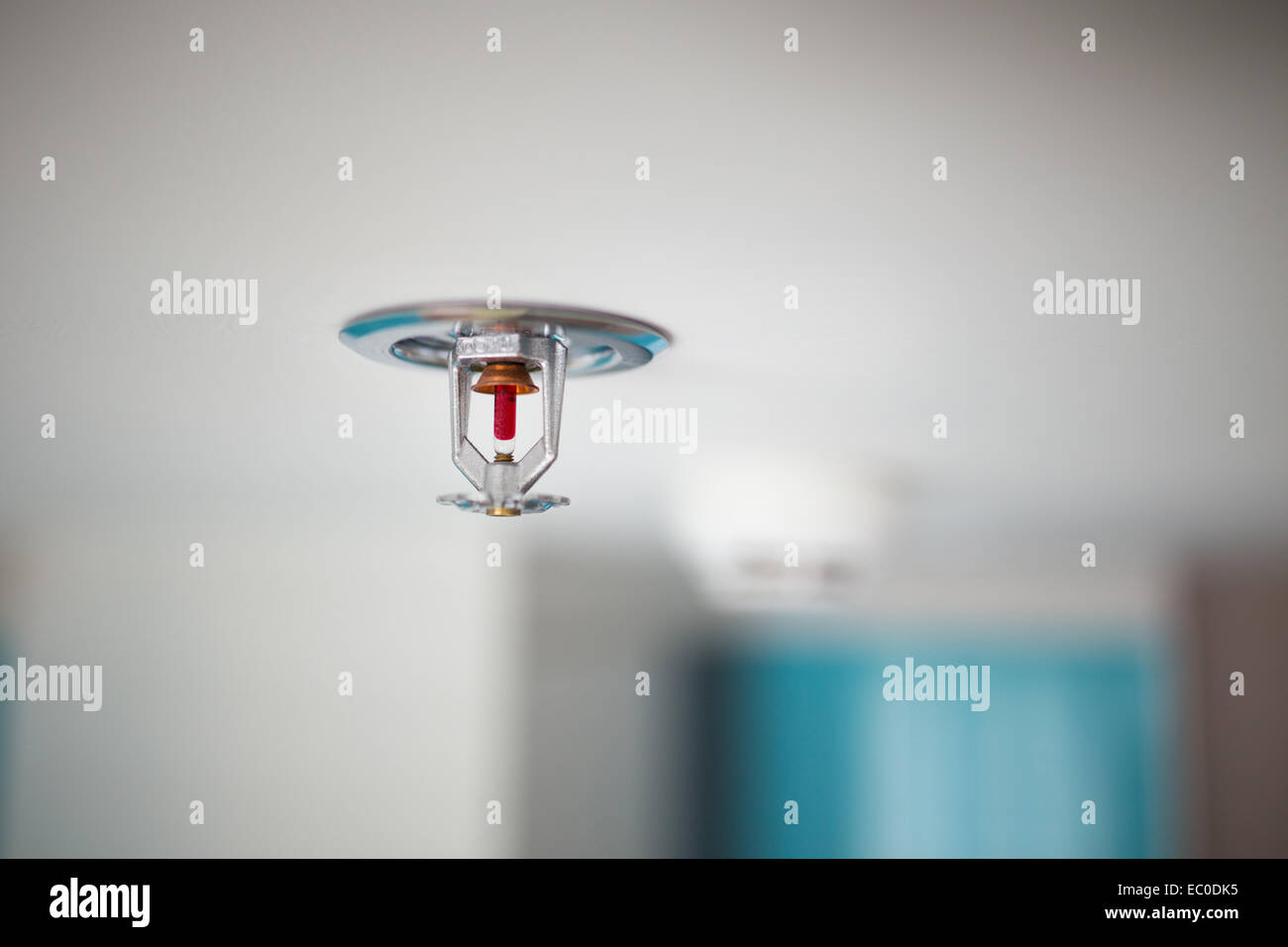 Sprinkler und Rauchmelder Stockfoto