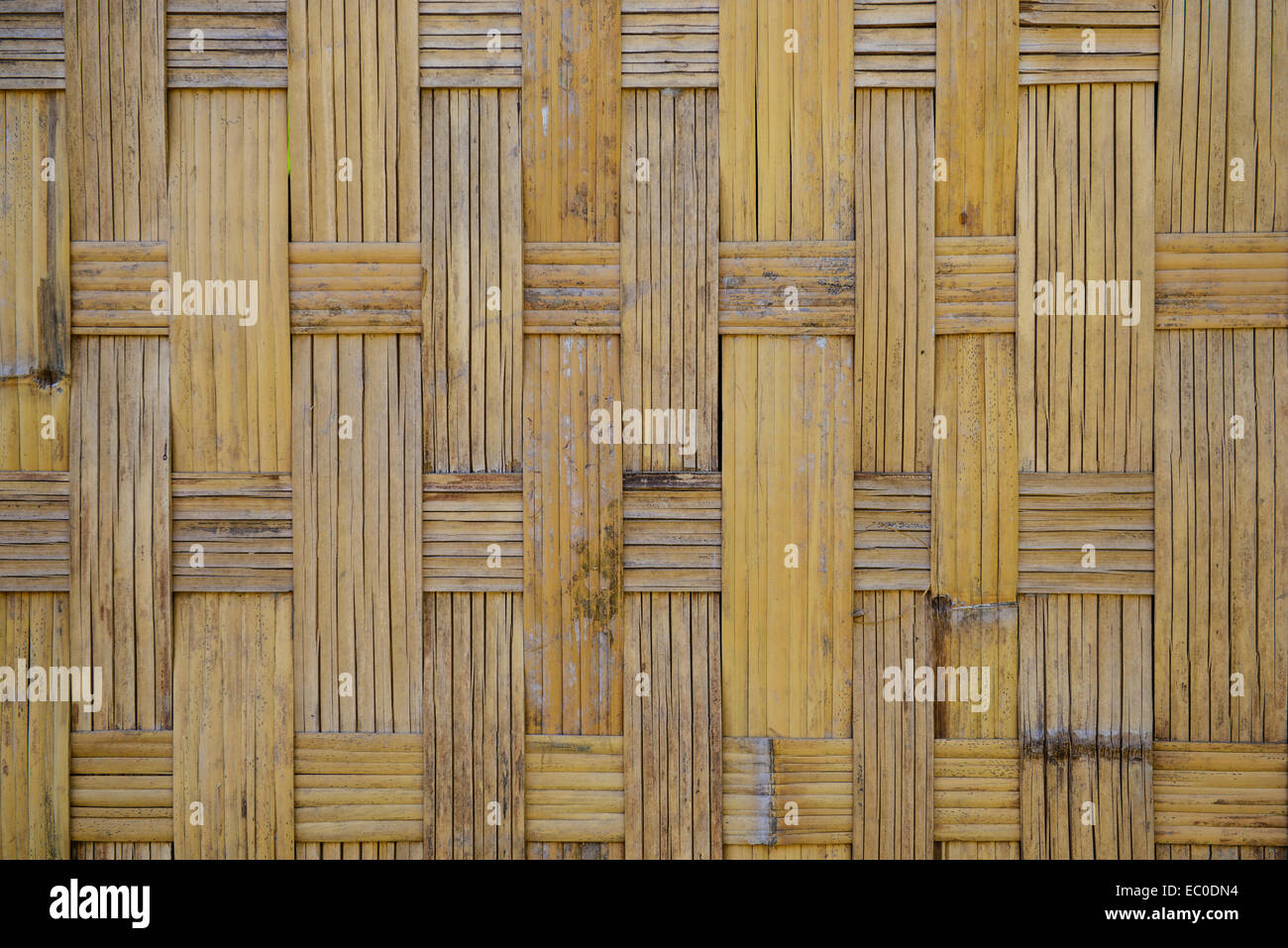 Bambus-Muster Stockfoto