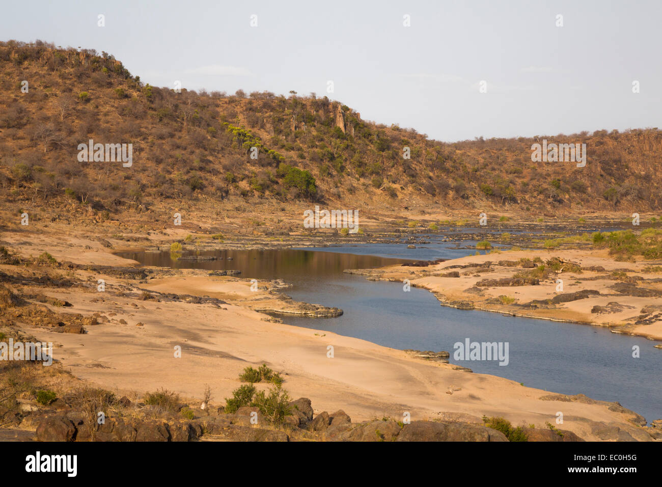 Olifants River, Krüger Nationalpark, Südafrika Stockfoto