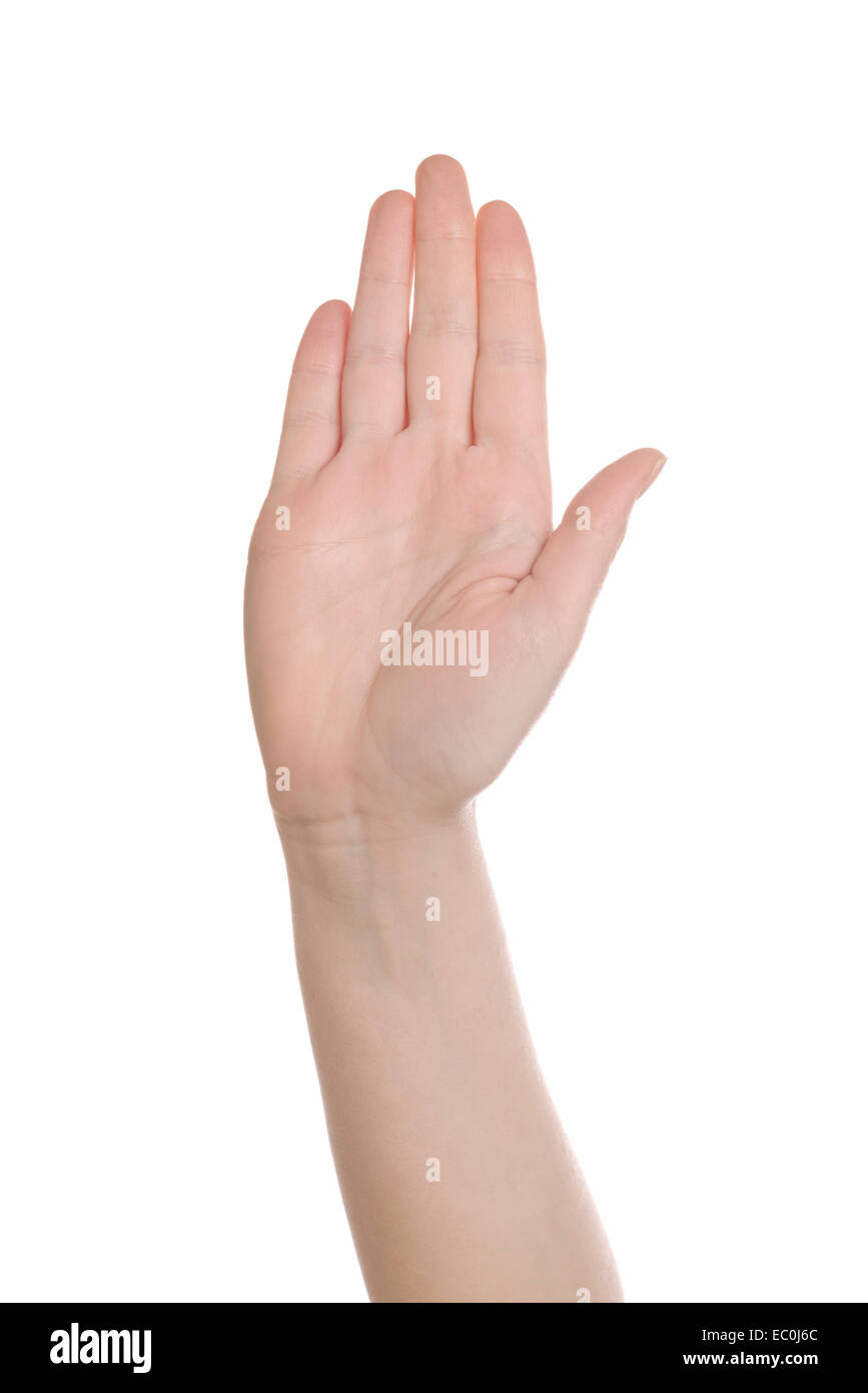 Kaukasische weiße weibliche Hand machen Stop-Schild aufhob und isoliert auf weißem Hintergrund. Stockfoto