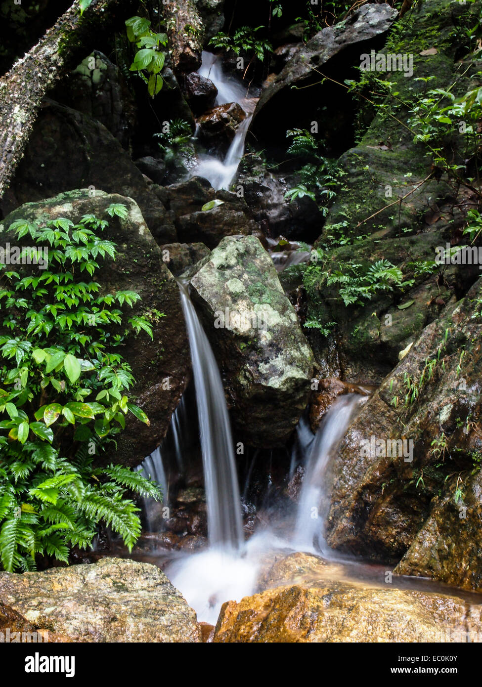 Wasser fällt Stockfoto