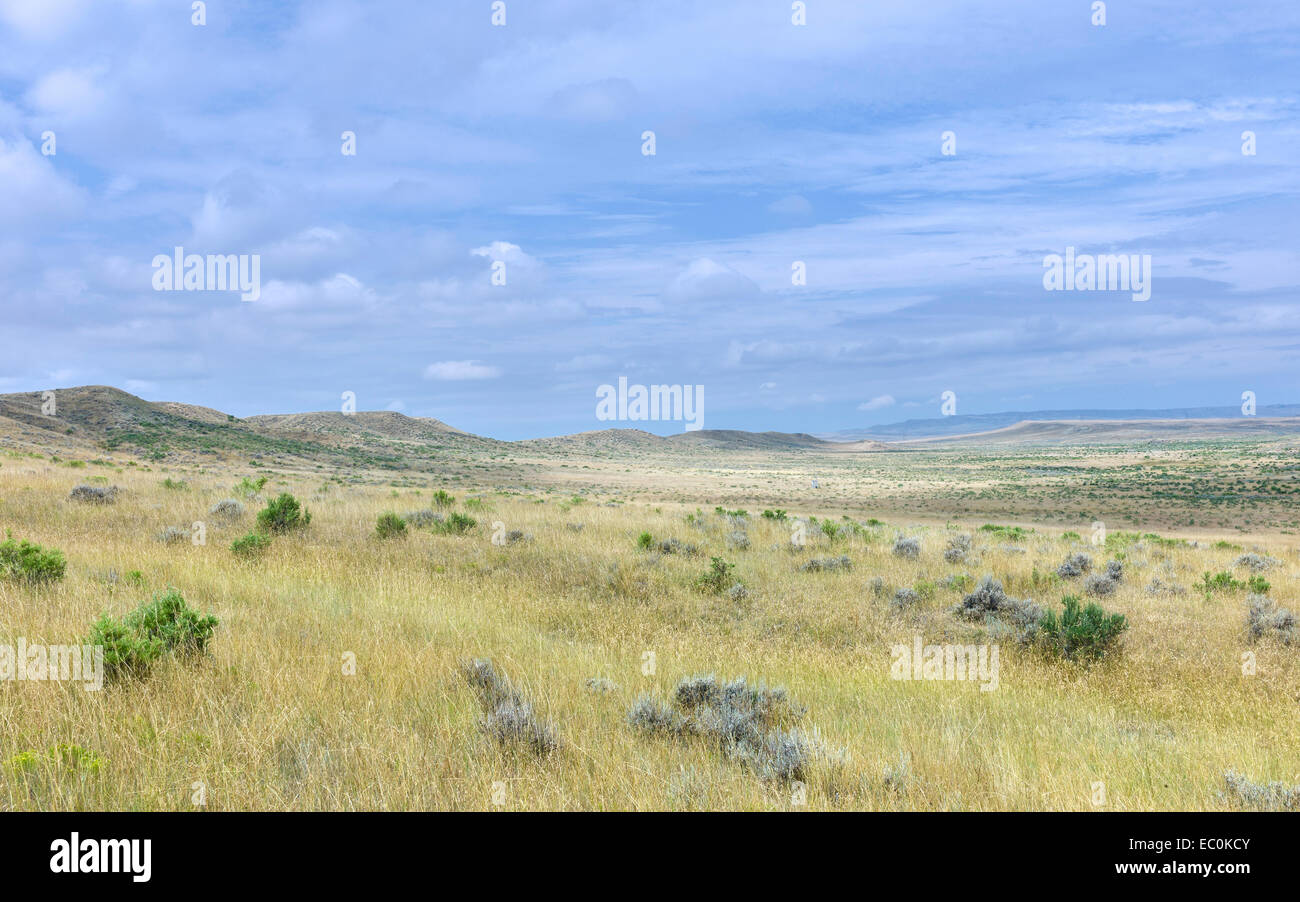 Offenen Prärie, Grünland, und trockenes Gestrüpp und Hügel unter einem hellen Himmel in der Nähe von Vermilion, Nebraska, USA. Stockfoto