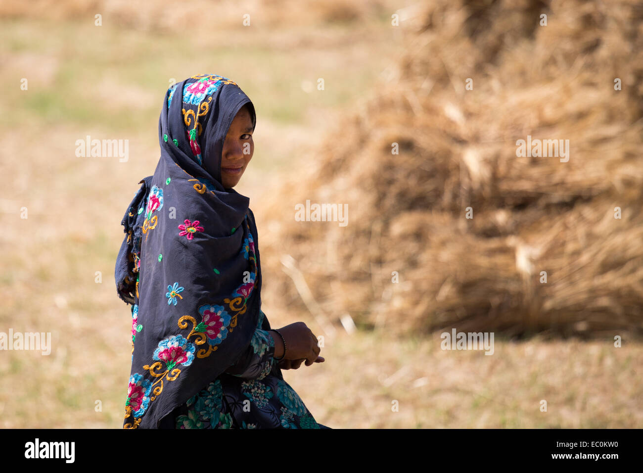 Junges Mädchen in Rajasthan, Indien Stockfoto