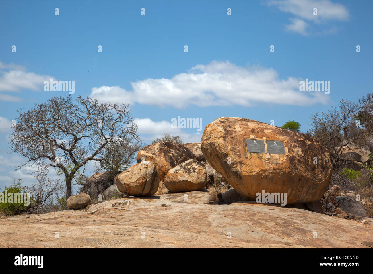 Krüger-Tabletten, Krüger Nationalpark, Südafrika Stockfoto