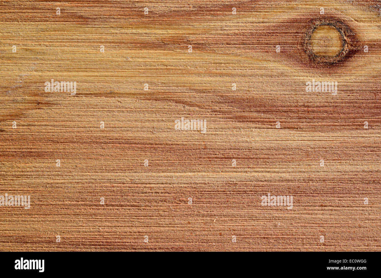 Ein Makro Nahaufnahme der Maserung des Holzes für den Hintergrund oder Kopie. Stockfoto