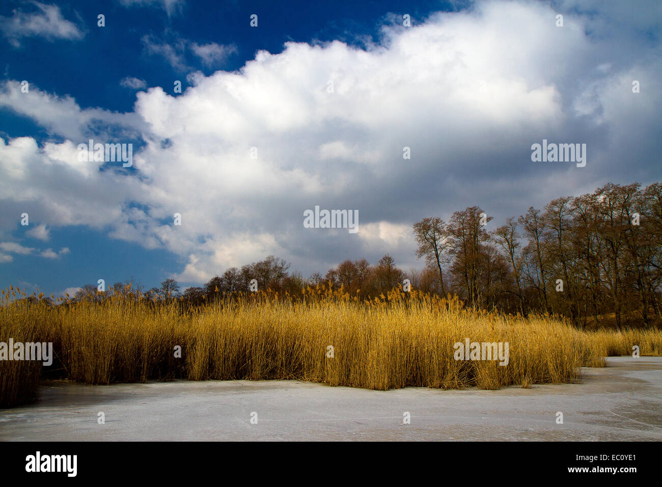 Dramatischer himmel foto Fotos und Bildmaterial in hoher Auflösung