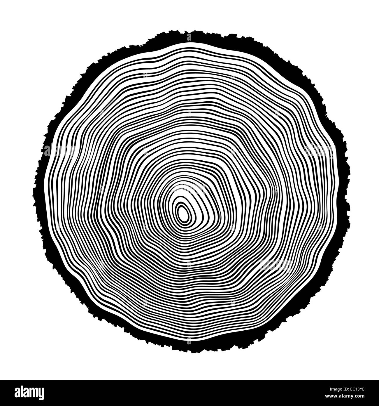 Baum Ringe Hintergrund illustration Stockfoto