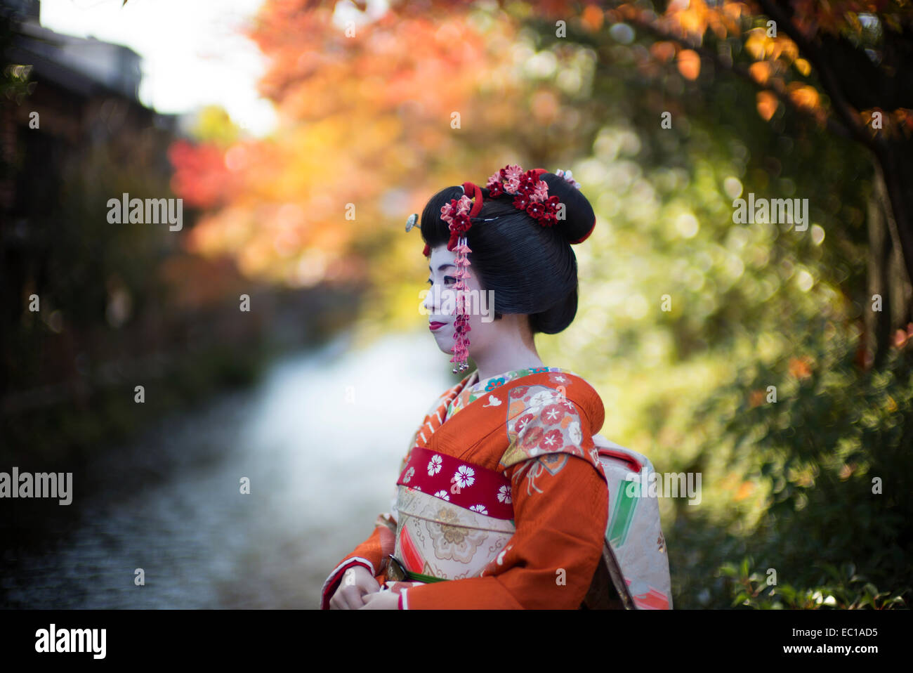 Geisha in Kyoto, Japan. Stockfoto