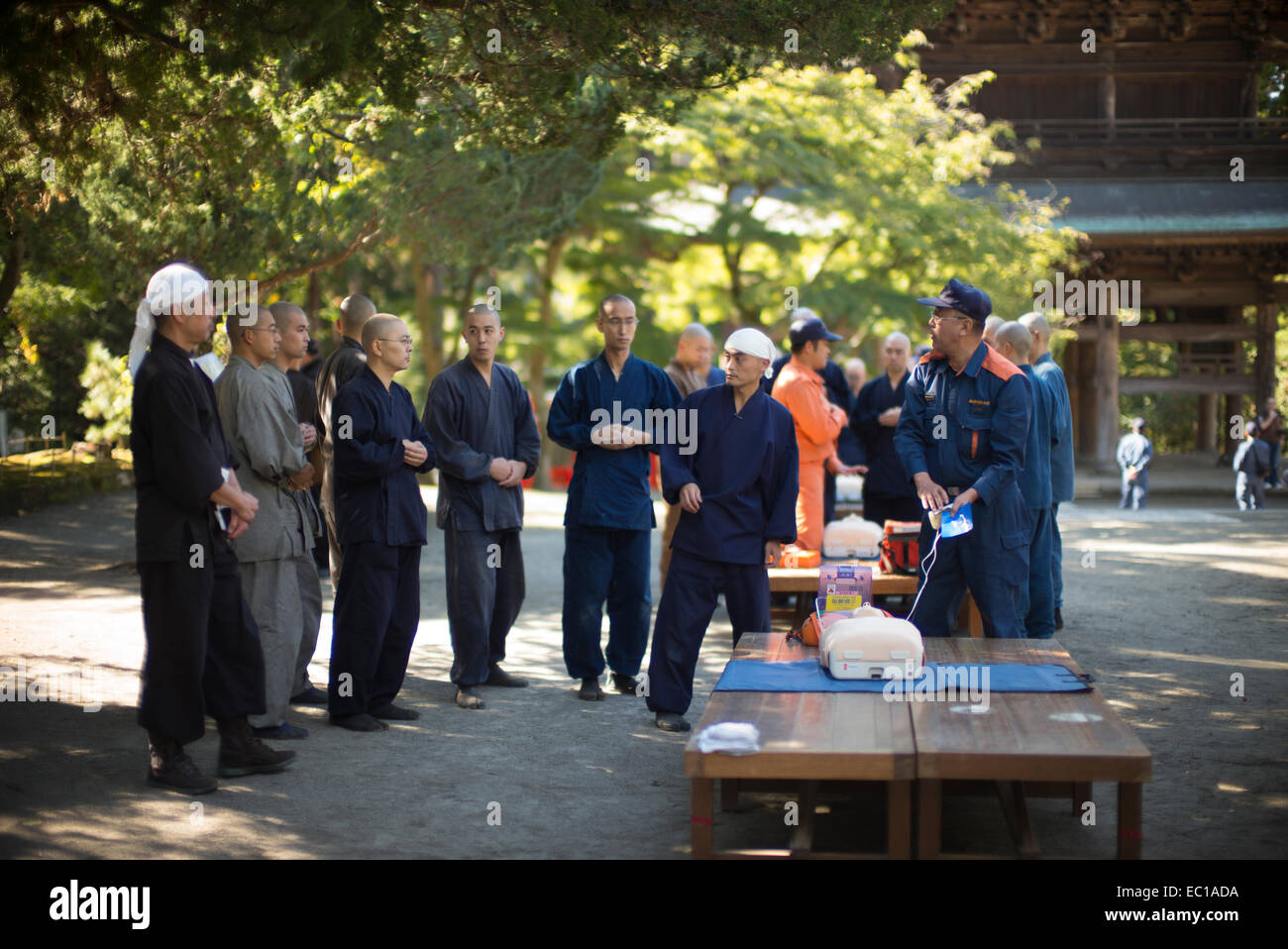 Die Mönche lernen CPR in dem Tempelgelände, Kamakura, Japan. Stockfoto