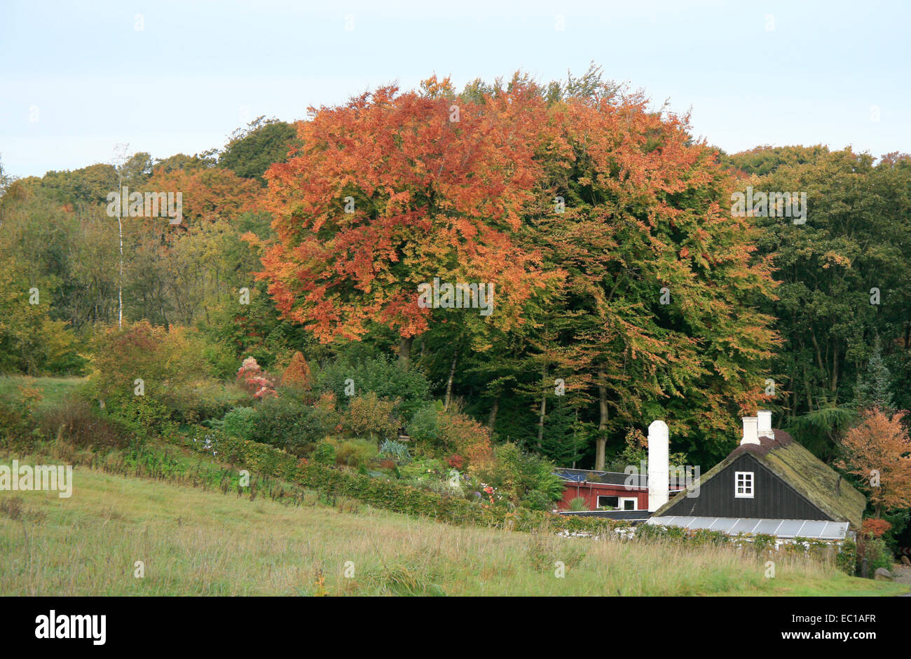 Kleines Haus im Wald im Herbst. Kann als Hintergrund verwendet werden Stockfoto