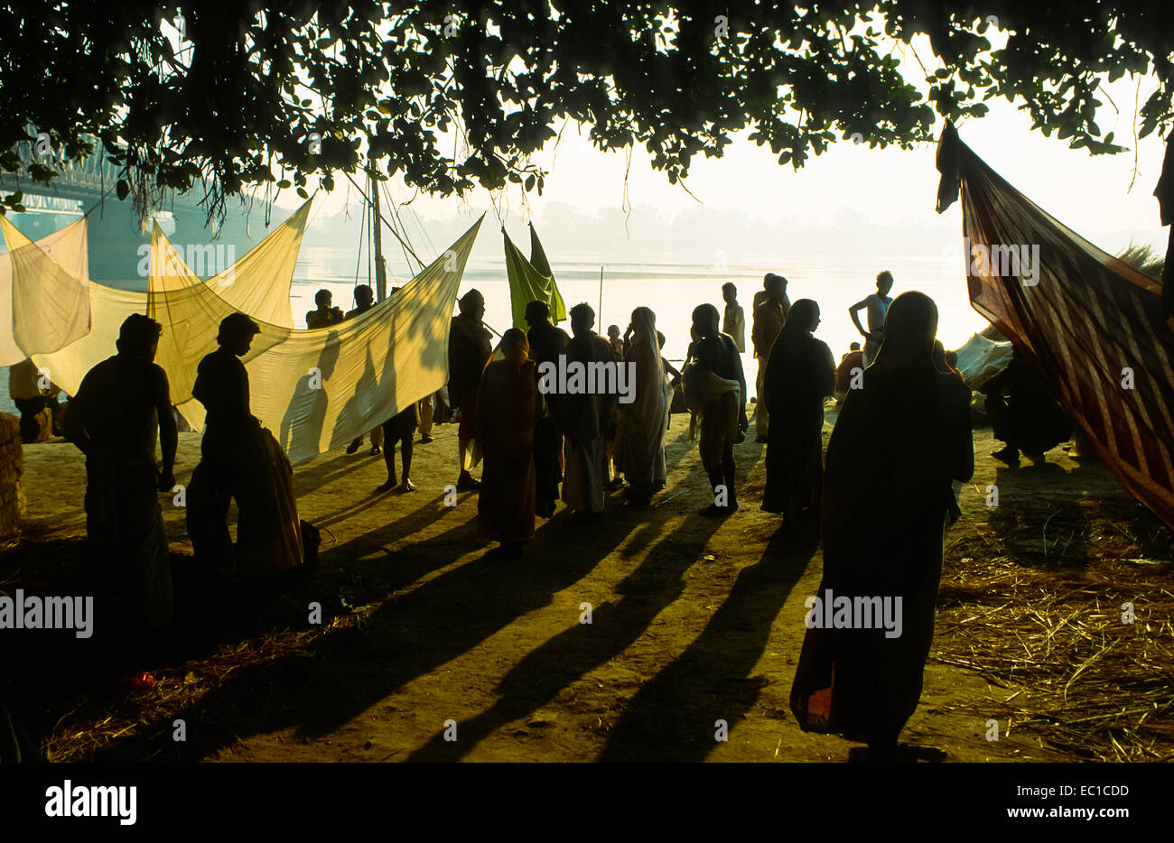Menschen zwischen den Bäumen Sonpur Mela in Indien Stockfoto