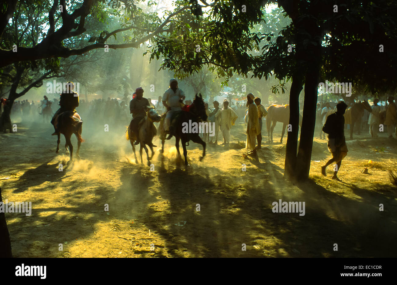 Männer auf Pferden Sonpur Mela in Indien Stockfoto
