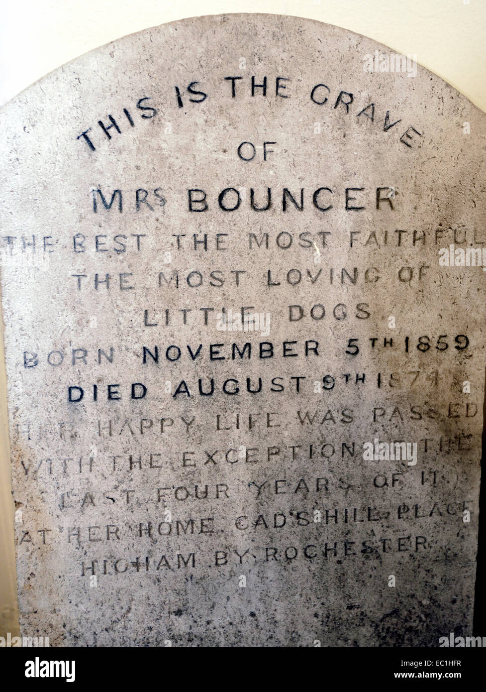 Grab von Frau Bouncer, Charles Dickens Hund, 1859-74, in seinem Haus, Gad es Hill Place, Higham in der Nähe von Rochester. "Das beste, das beste Stockfoto