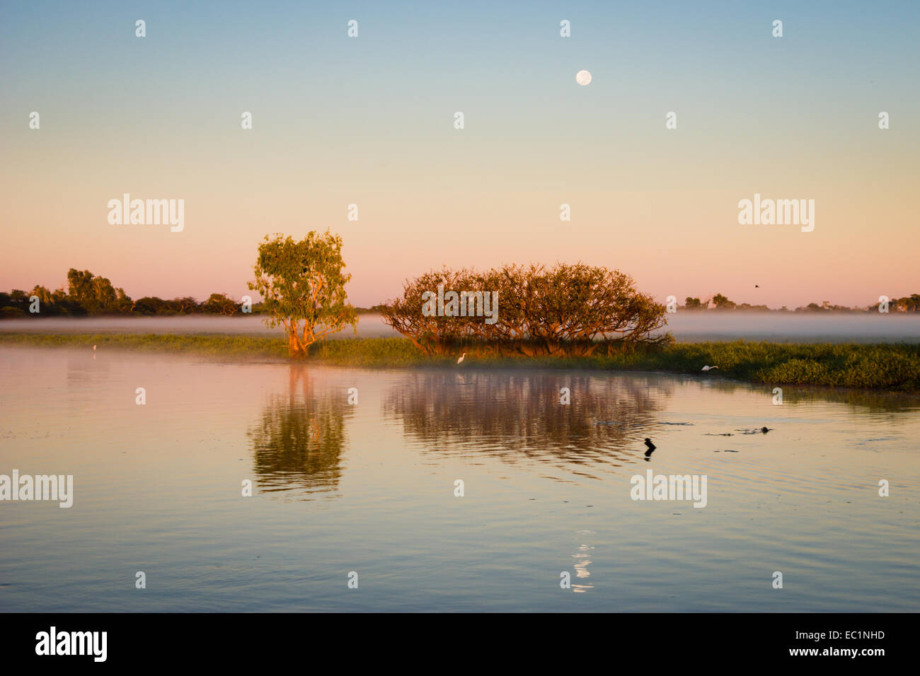 Morgendämmerung am Yellow Water Billabong, Kakadu, Australien Stockfoto