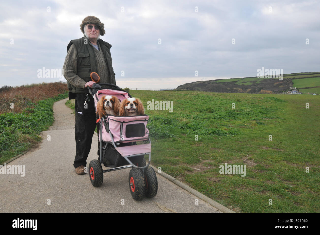 Ein Mann mit seinen zwei Hunden spazieren gehen Stockfoto