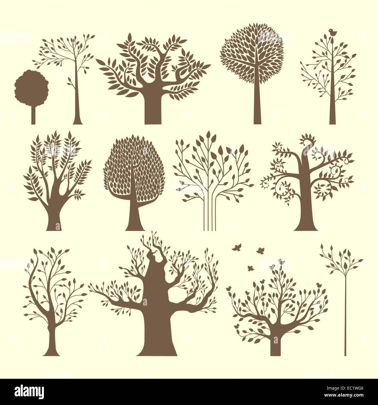 anderen Satz von Braun Baum für Ihr design Stockfoto