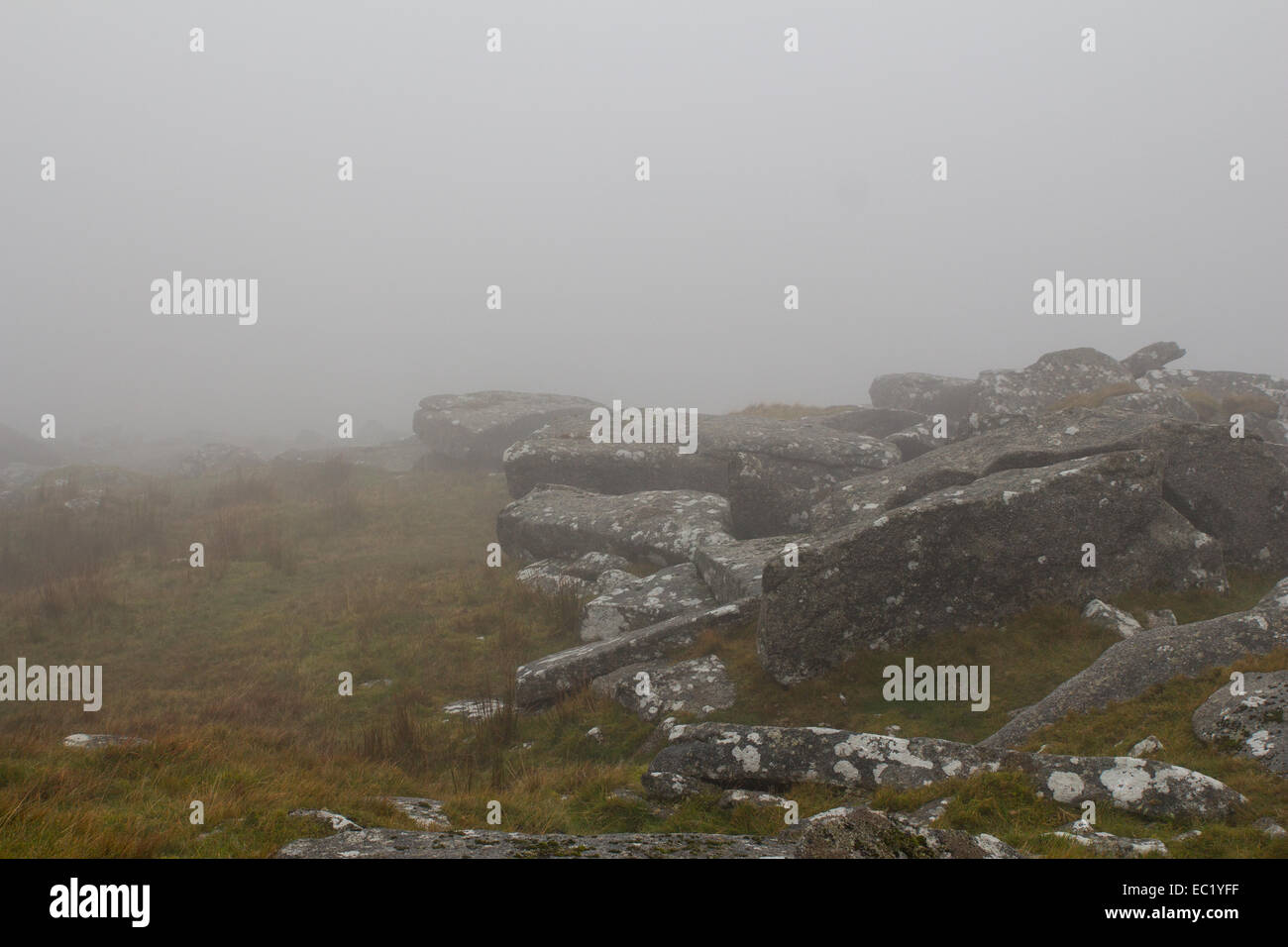 Blick auf grobe Tor auf Bodmin Moor an einem nebligen Tag. Stockfoto