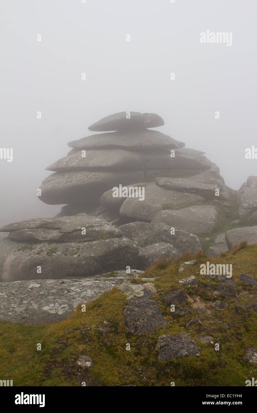 Blick auf grobe Tor auf Bodmin Moor an einem nebligen Tag. Stockfoto
