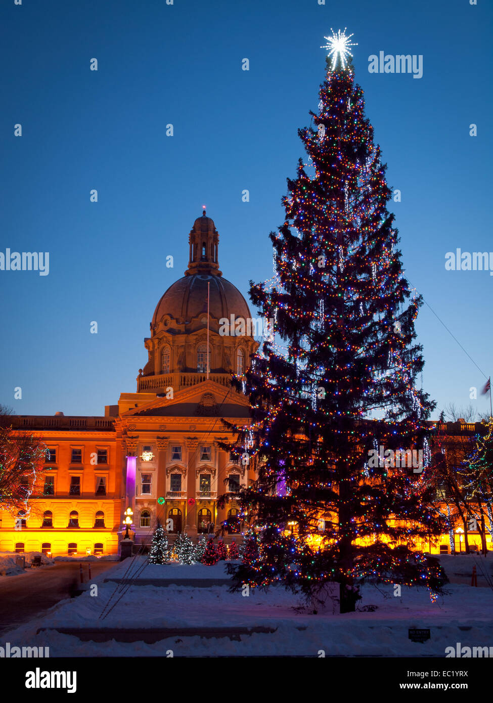 Die Alberta Legislature (Legislativversammlung von Alberta) Anlage in Weihnachtsbeleuchtung dekoriert. Edmonton, Alberta, Kanada. Stockfoto