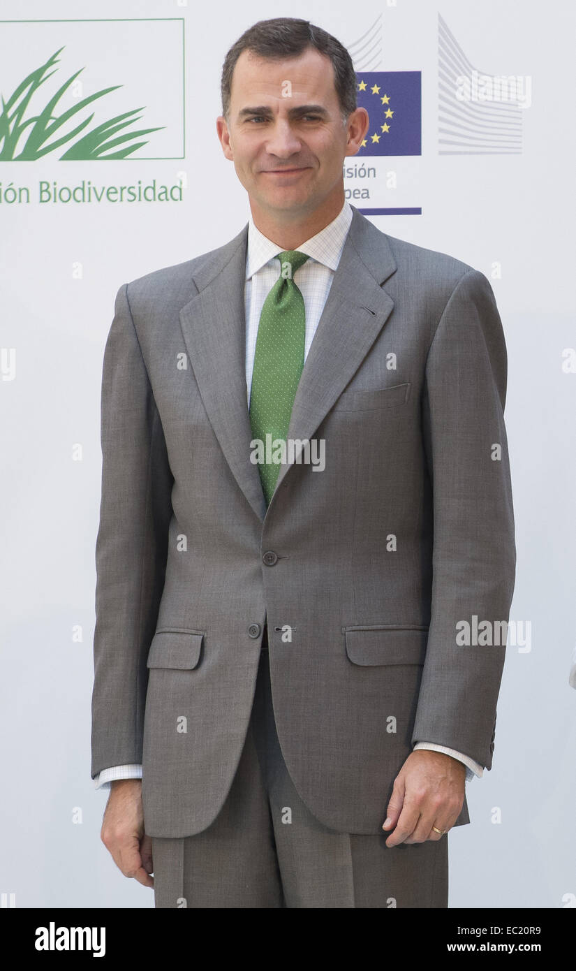Prinz Felipe und Prinzessin Letizia von Spanien besuchen der European Environmental Awards an das Ministerium für Landwirtschaft, Lebensmittel und Umwelt mit: Prinz Felipe von Spanien wo: Madrid, Spanien: 5. Juni 2014 Stockfoto