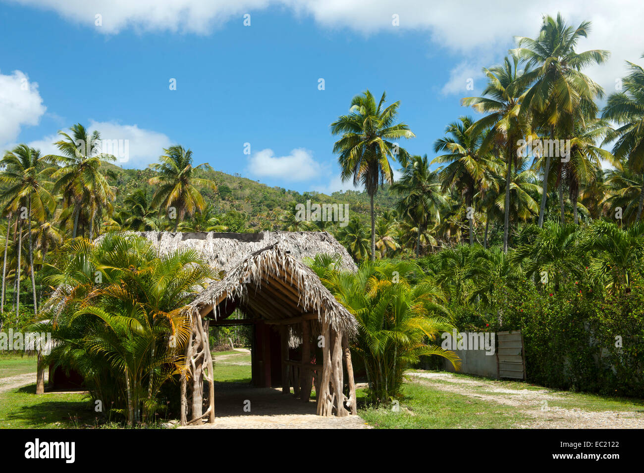 Dominikanische Republik, Halbinsel Samana, Taino Park zwischen Sanchez und Santa Barbara de Samana Stockfoto