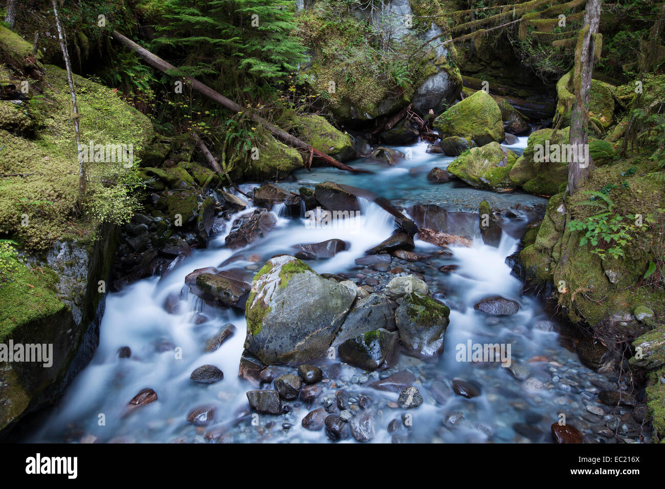 Leiter Creek Falls, newhalem, North Cascades National Park, Cascade Range, Washington, United States Stockfoto