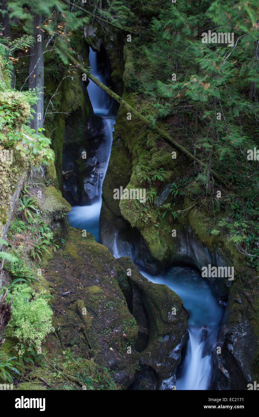Leiter Creek Falls, newhalem, North Cascades National Park, Cascade Range, Washington, United States Stockfoto