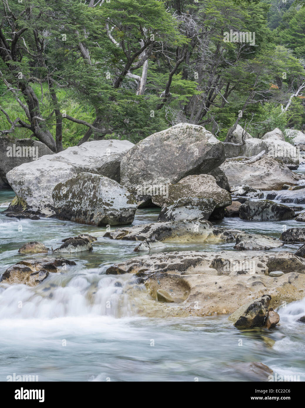 Creek, Provinz Neuquén, Argentinien Stockfoto