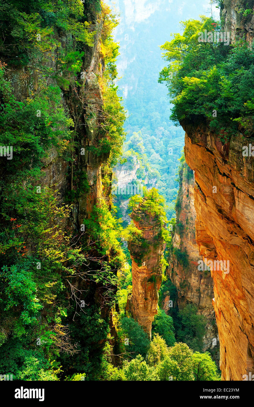 Avatar-Berge mit vertikalen Quarz-Sandstein Säulen, Zhangjiajie National Forest Park, Provinz Hunan, China Stockfoto