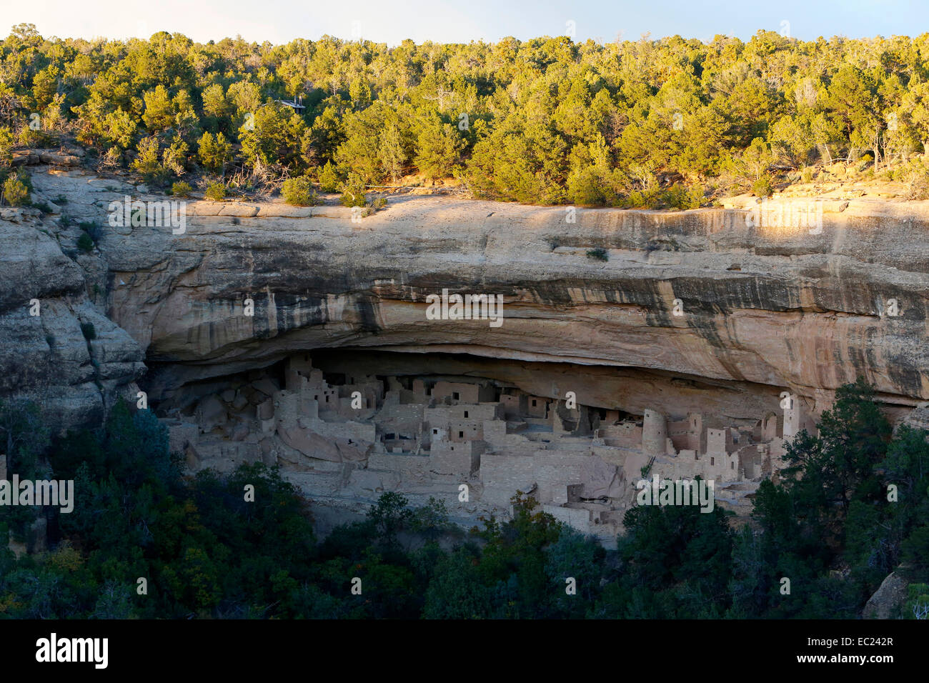 Cliff Palace Klippe Häuser der Anasazi, von der Sonne Punkt, Mesa Verde Nationalpark, Colorado, Vereinigte Staaten von Amerika Stockfoto