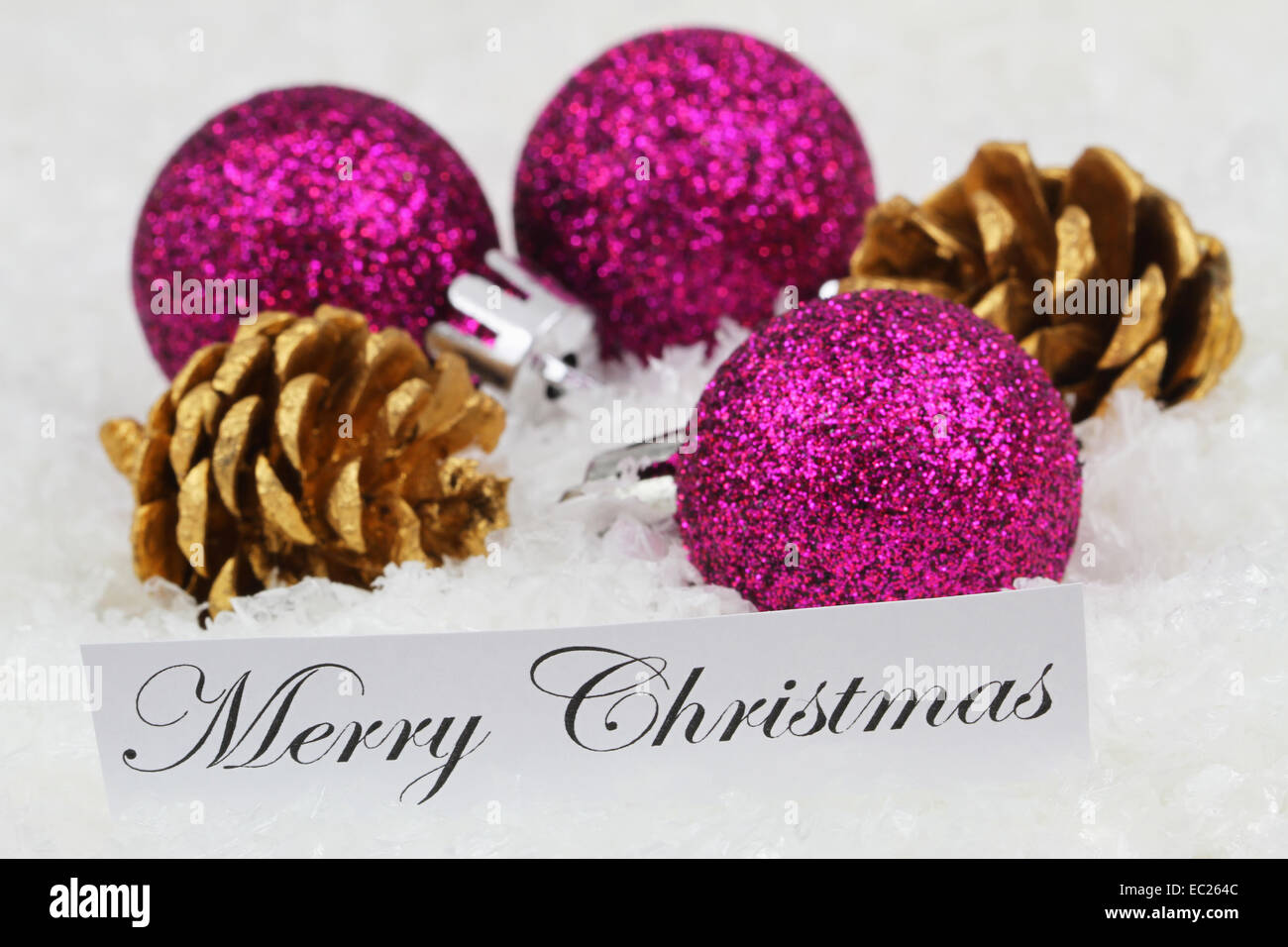 Lustige Weihnachtskarte mit lila Kugeln und Zapfen auf Schnee Stockfoto