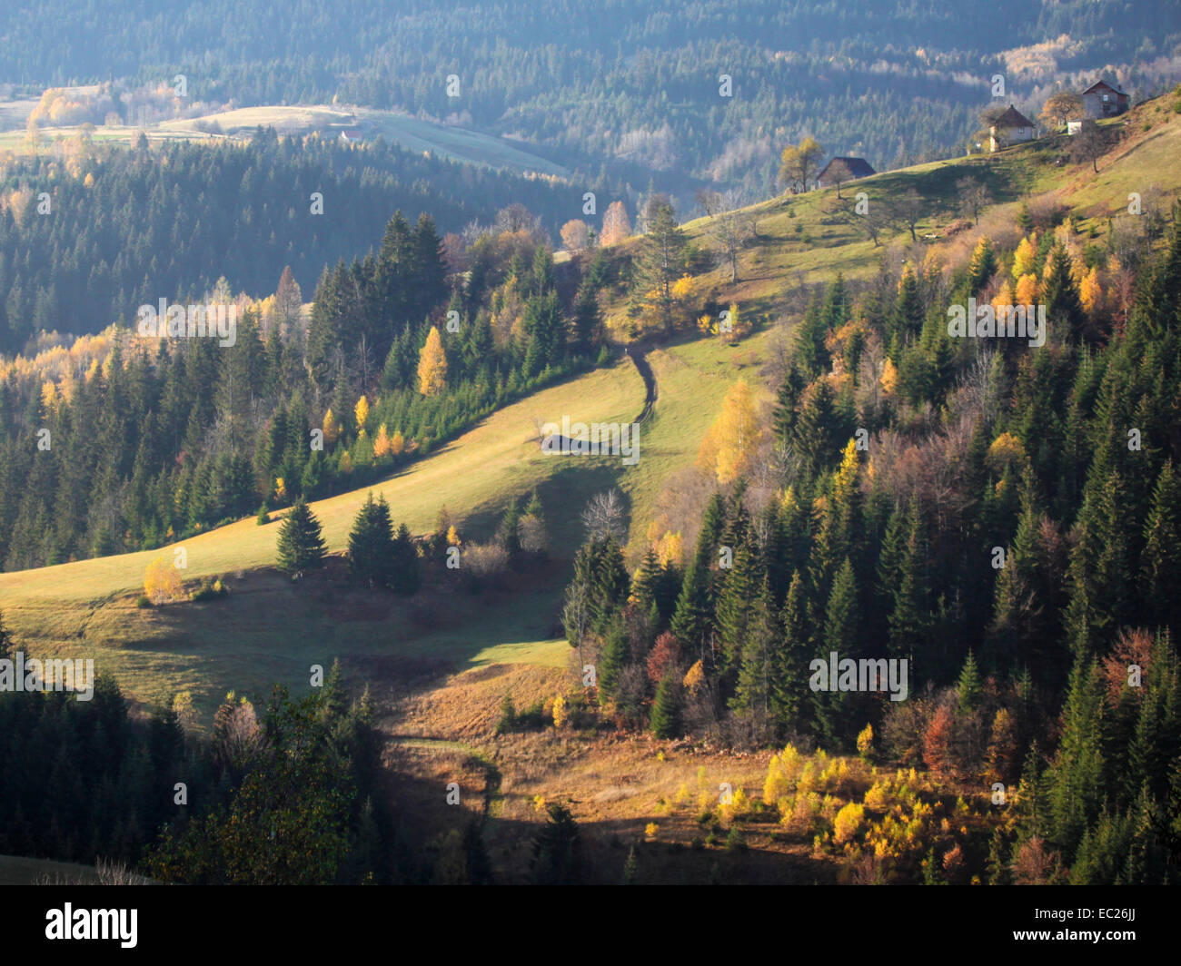 Landschaft des Berges Zlatar in West-Serbien Stockfoto