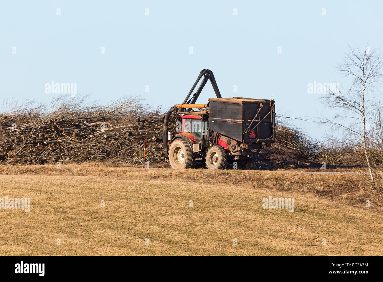 Holz-Häcksler unten Äste kauen Stockfoto